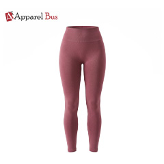 Seamless Leggings