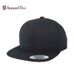 snapback hat