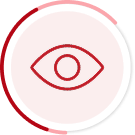 Vision Icon
