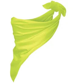2221 Augusta Sportswear Bandana