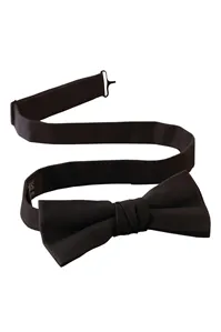 BT10 Edwards APRON BOW TIE