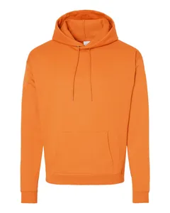 P170 Hanes EcoSmart® Hooded Sweatshirt