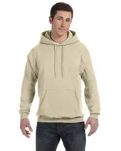 P170 Hanes EcoSmart® Hooded Sweatshirt