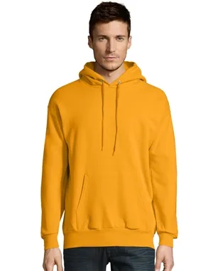 P170 Hanes EcoSmart® Hooded Sweatshirt
