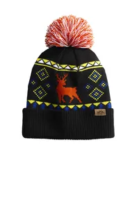 SPC12 Spacecraft LIMITED EDITION Wild Pom Beanie