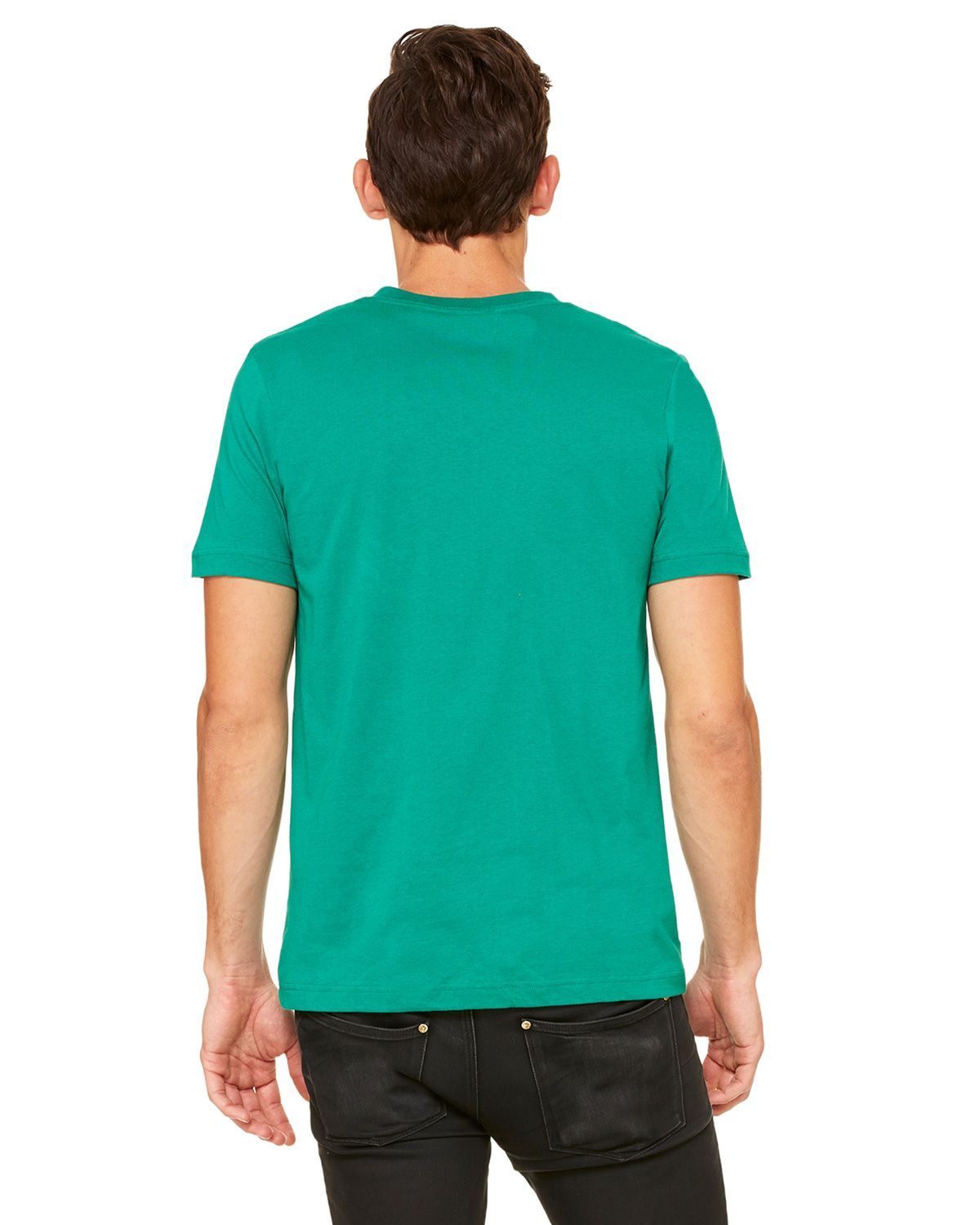 Bella + Canvas Screen Print 3005 Unisex Jersey V-Neck Tee - Back Image
