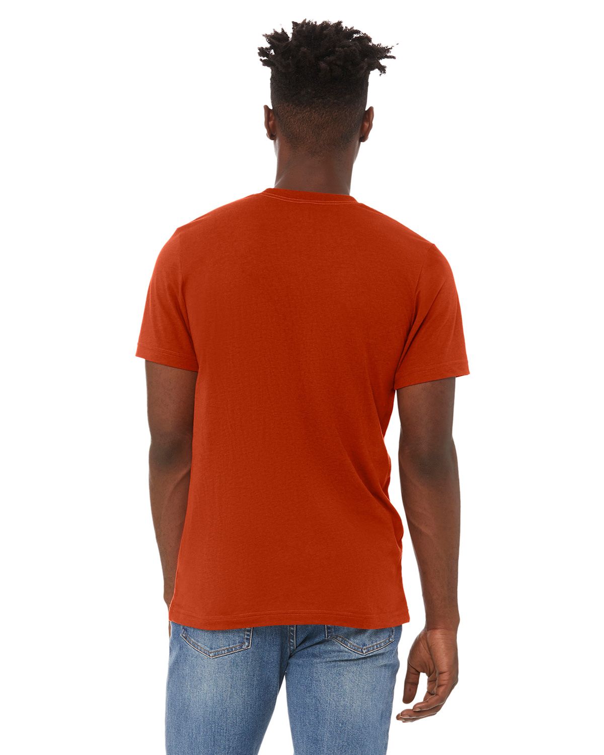 3413C Bella + Canvas Short Sleeve Triblend T-shirt - Back Image