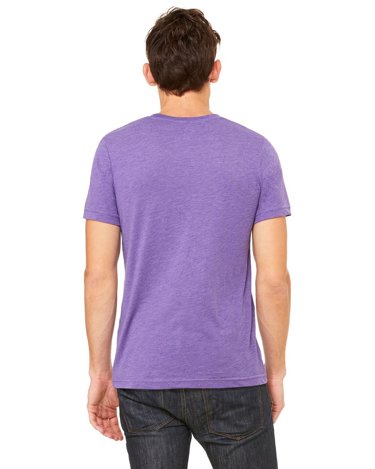 3413C Bella + Canvas Short Sleeve Triblend T-shirt - Back Image