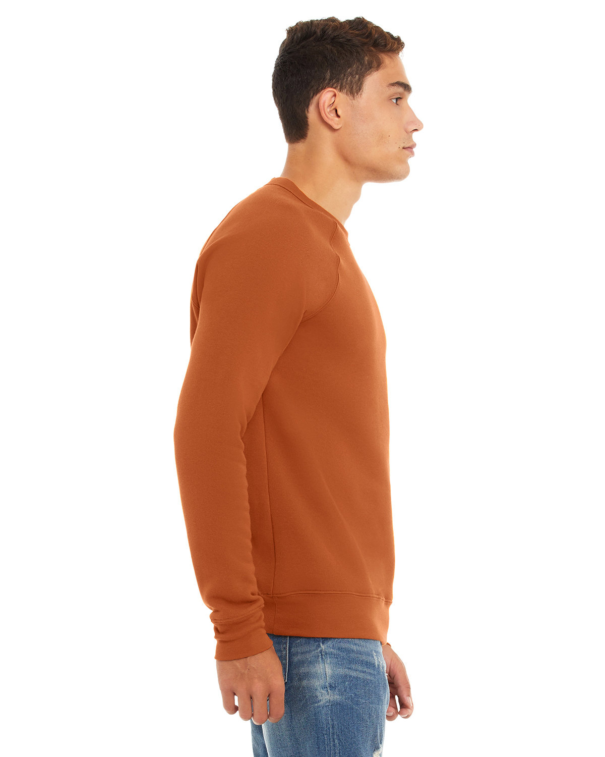 3901 Bella + Canvas Unisex Sponge Fleece Raglan Crewneck Sweatshirt - Siide Image