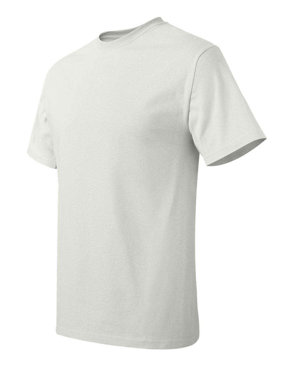 5250 Hanes - Authentic 100% Cotton T-Shirt. - Siide Image