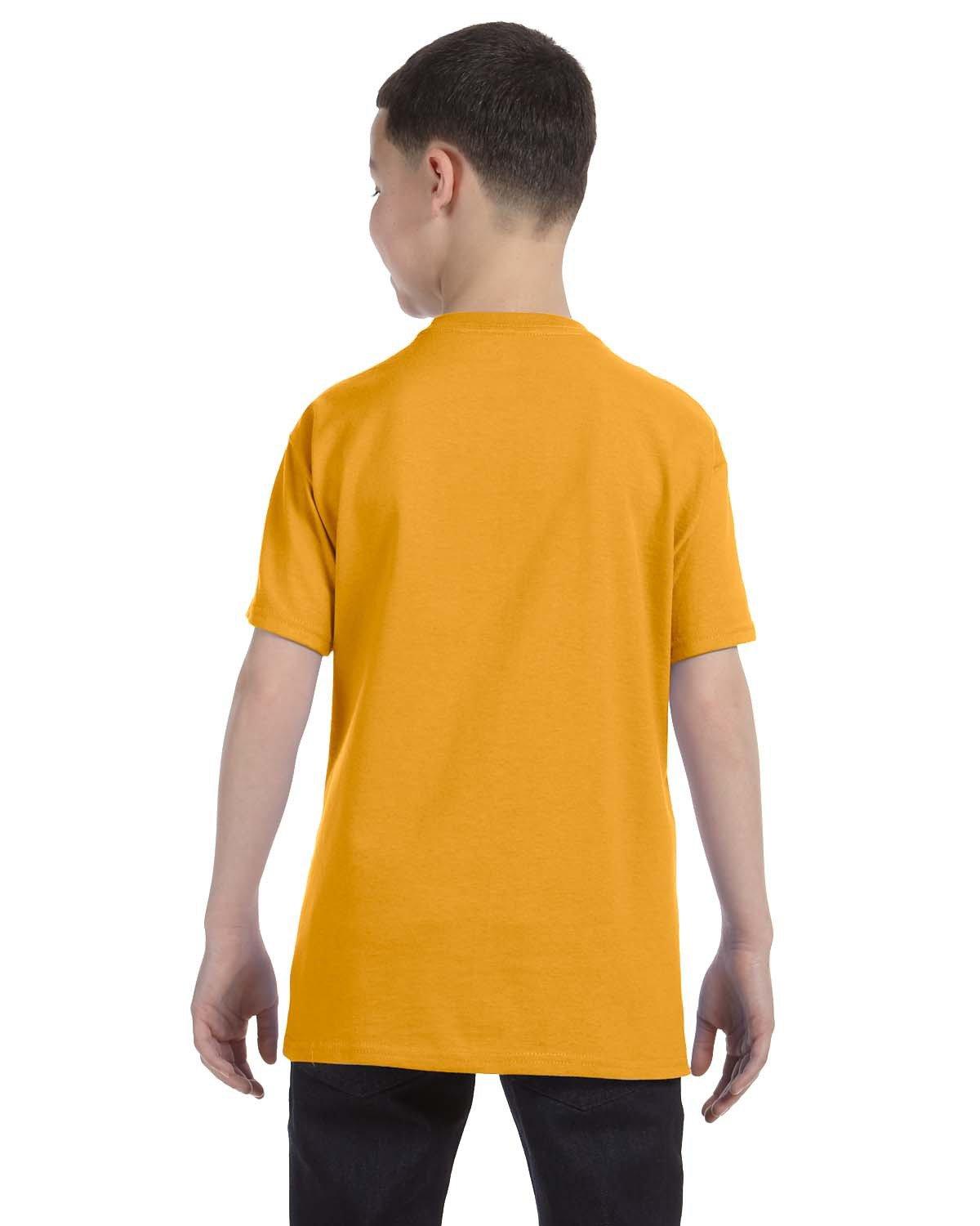 54500 Hanes Youth Authentic-T T-Shirt - Back Image