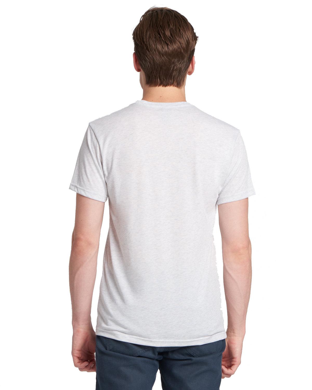 6010 Next Level Unisex Triblend T-Shirt - Back Image