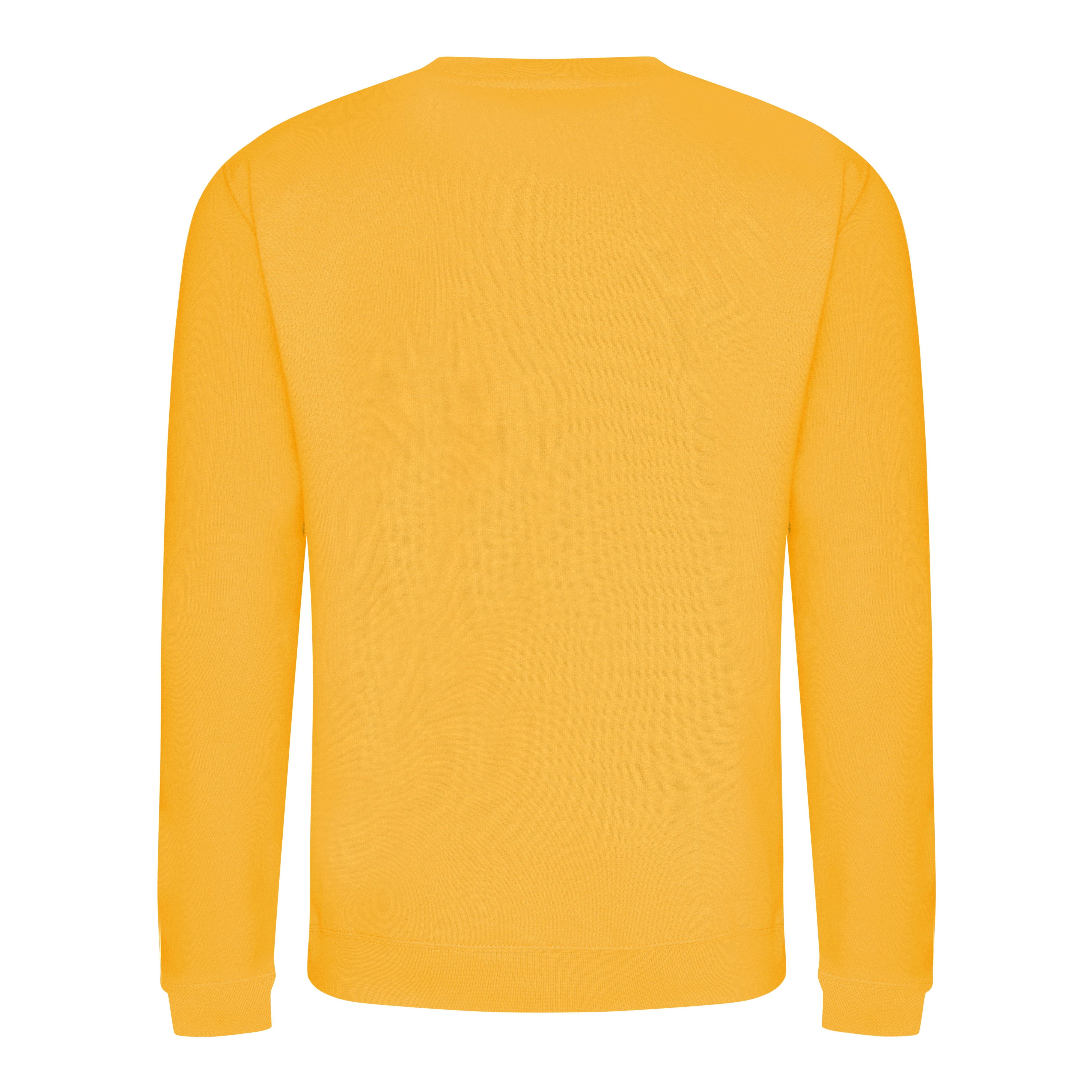 JHA030 A4 College Sweat - Back Image