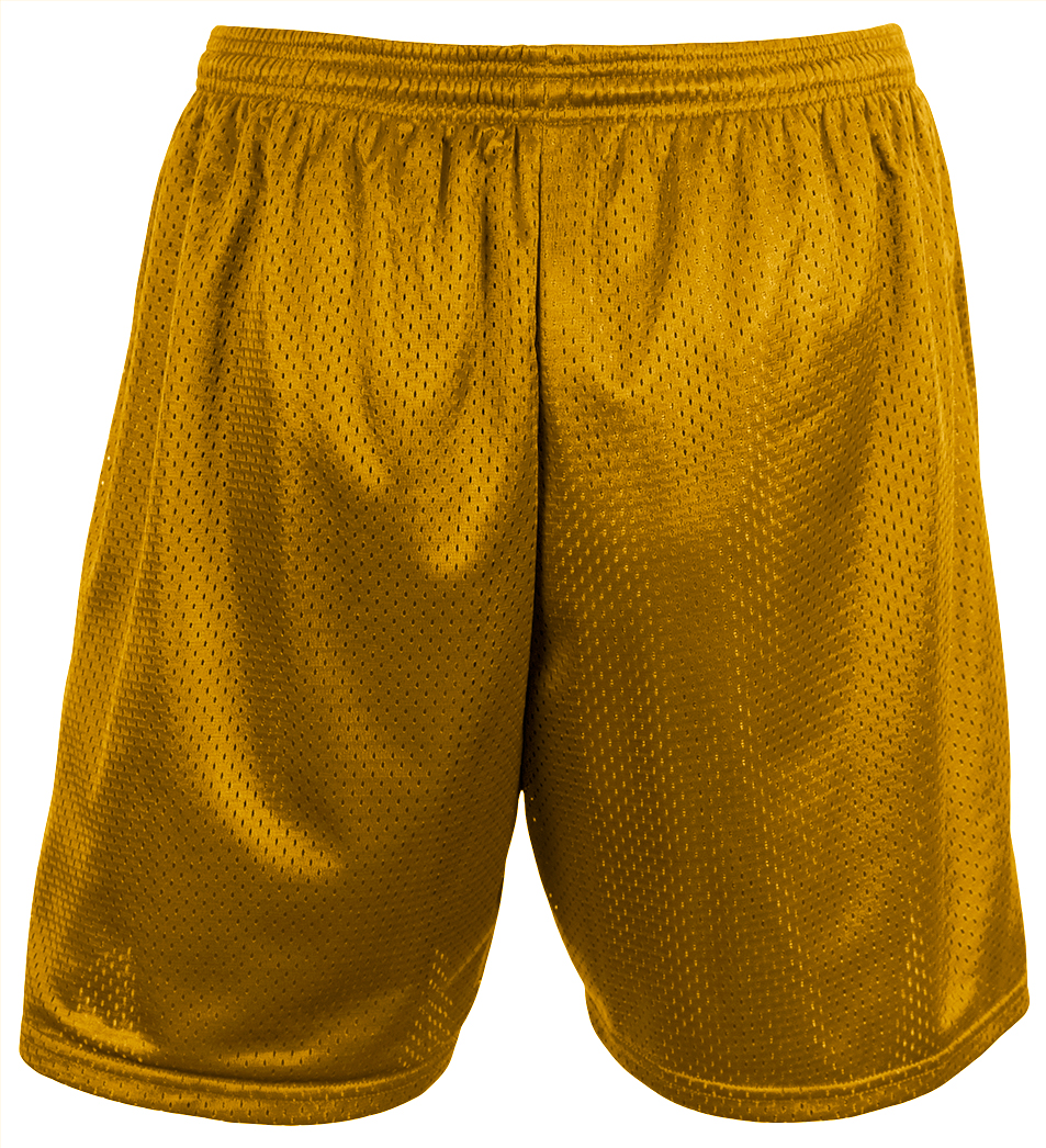 N5294 A4 Sprint 5" Lined Tricot Mesh Shorts - Back Image