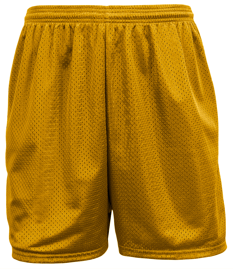 N5294 A4 Sprint 5" Lined Tricot Mesh Shorts