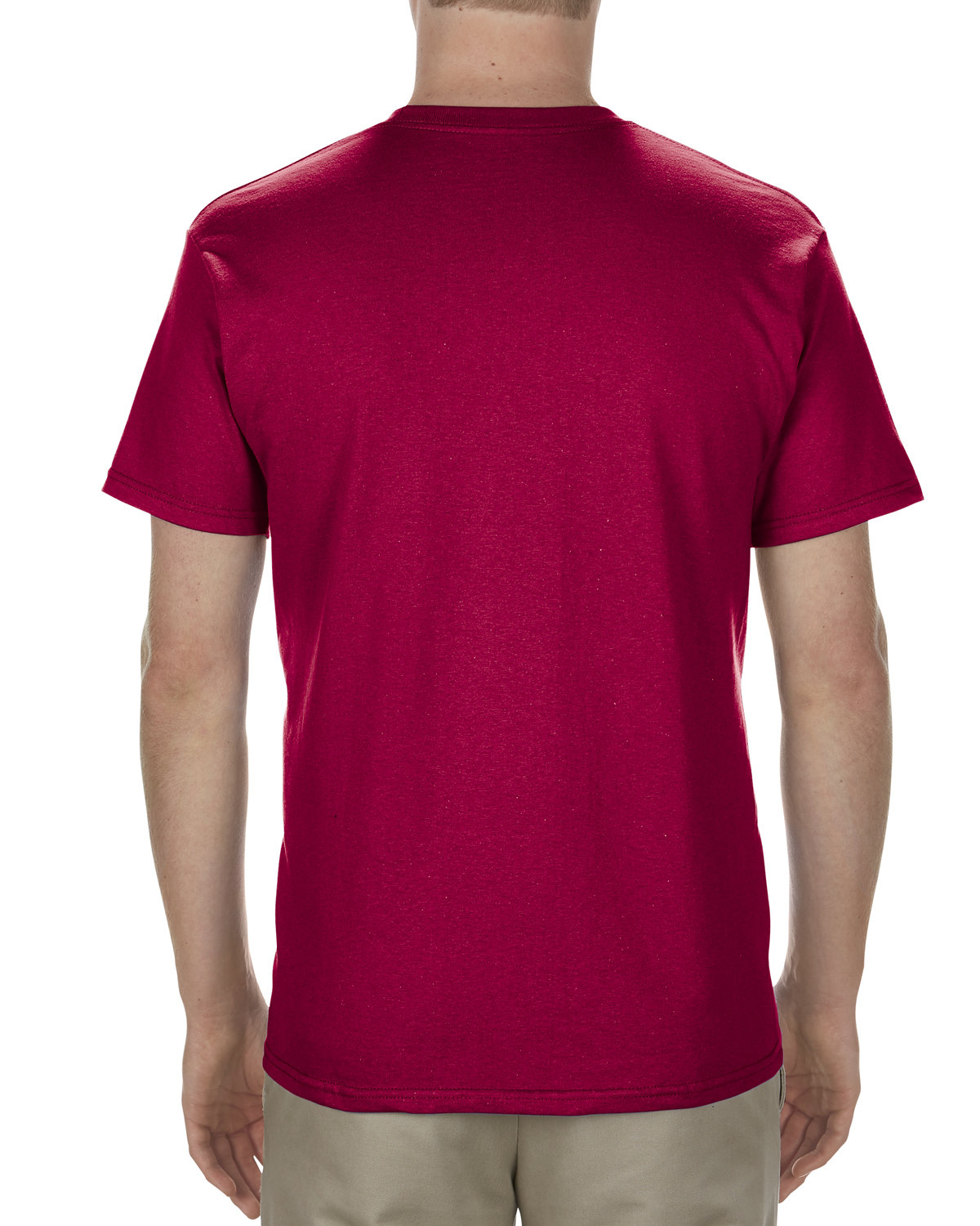 AL1701 American Apparel Adult T-Shirt - Back Image