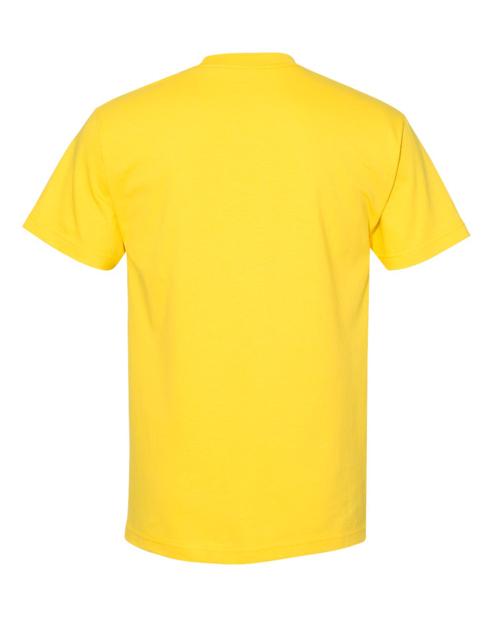 1301 American Apparel Classic T-Shirt - Back Image