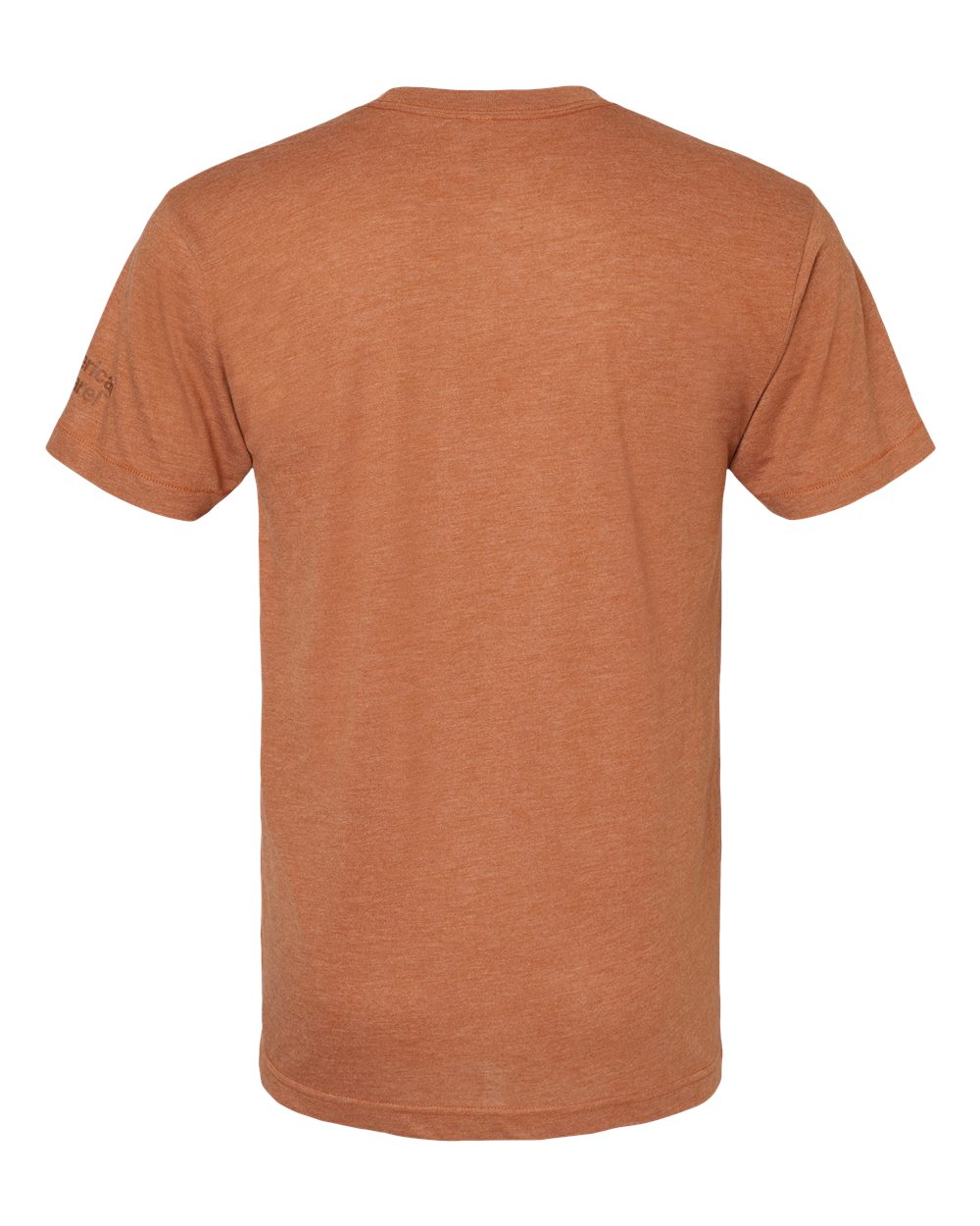 TR401W American Apparel Unisex Triblend Short-Sleeve Track T-Shirt - Back Image