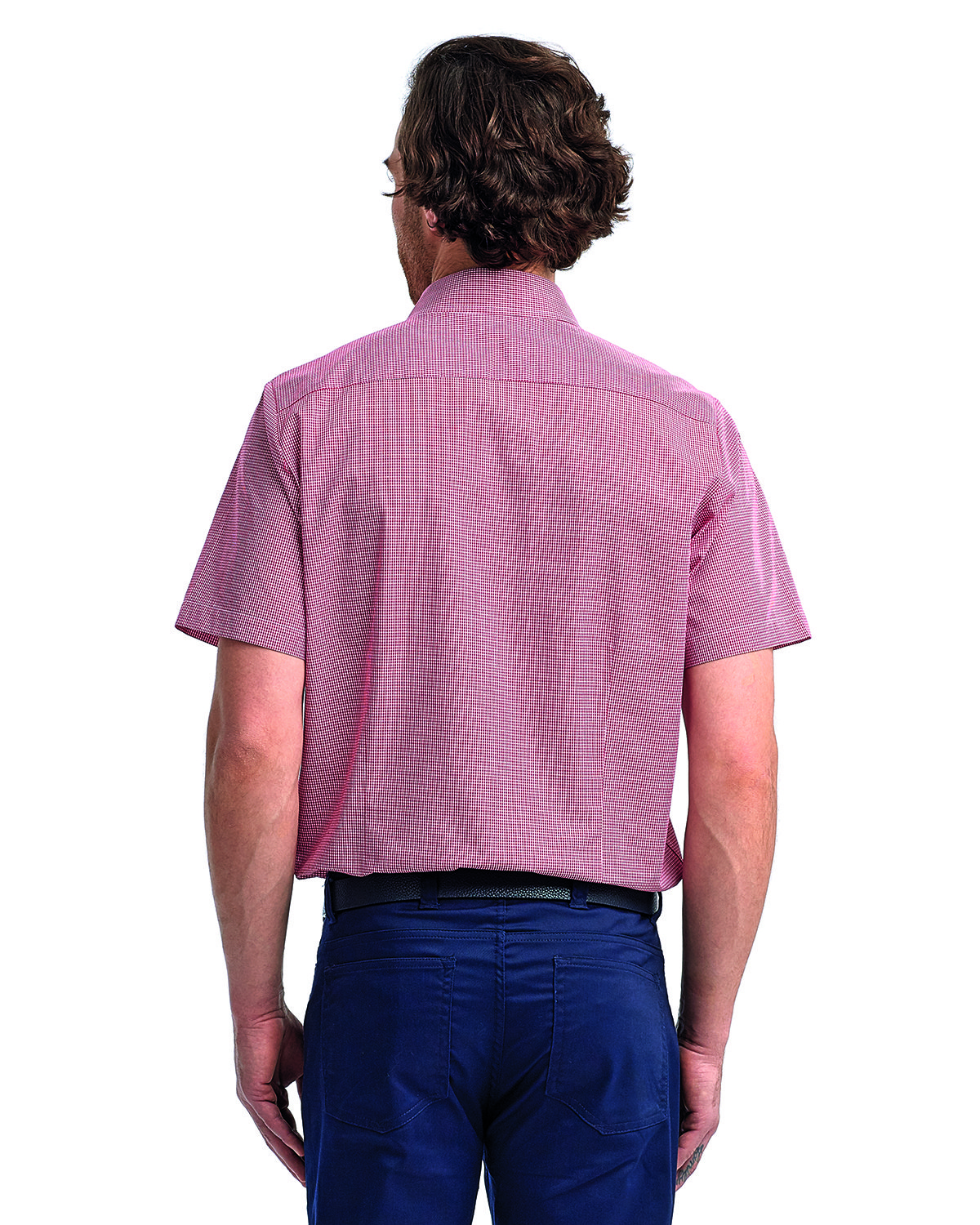 RP221 Artisan Collection by Reprime Mens Microcheck Gingham Short-Sleeve Cotton Shirt - Back Image