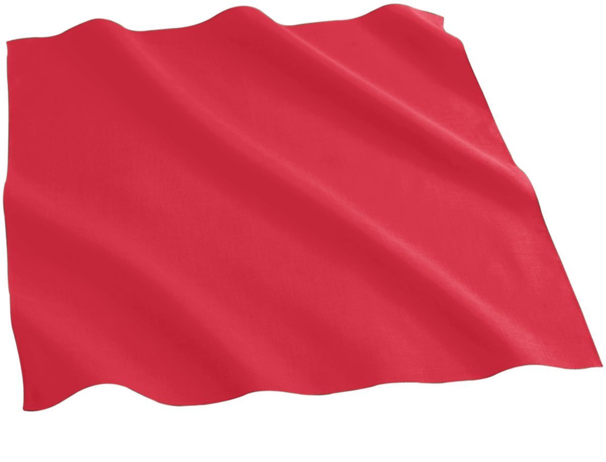 2226 Augusta Sportswear COTTON BANDANA - Back Image