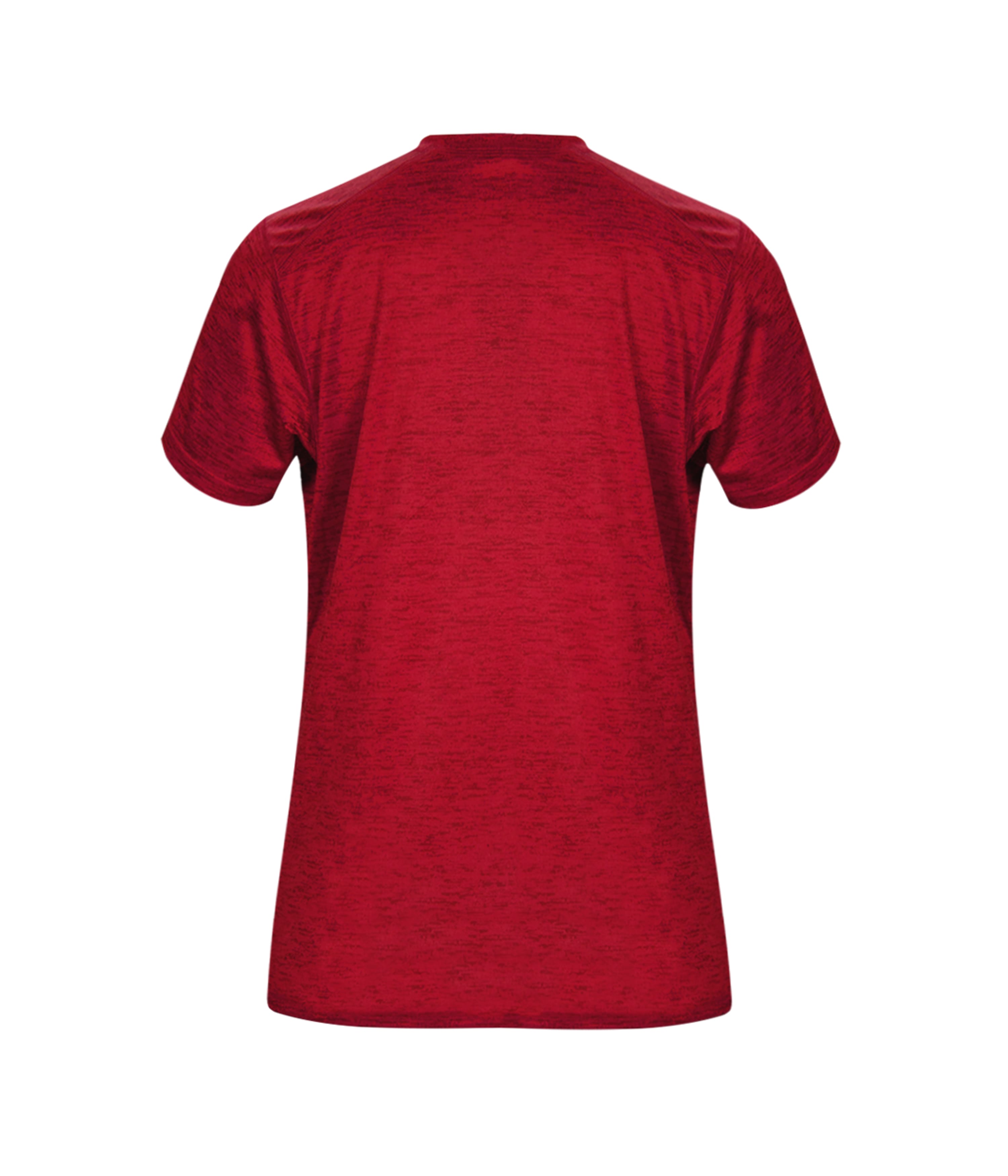 417500 BADGER TONAL BLEND LADIES V-NECK TEE 417500 BADGER TONAL BLEND LADIES V-NECK TEE - Back Image