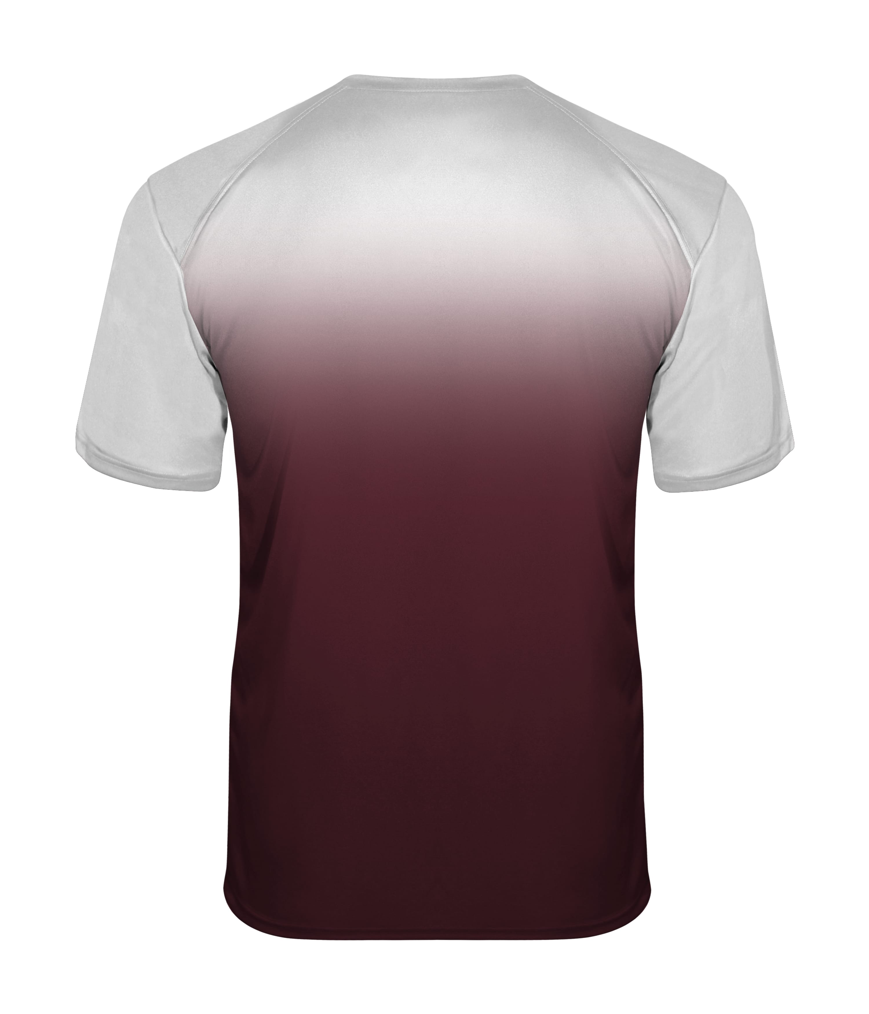 420300 BADGER OMBRE TEE - Back Image