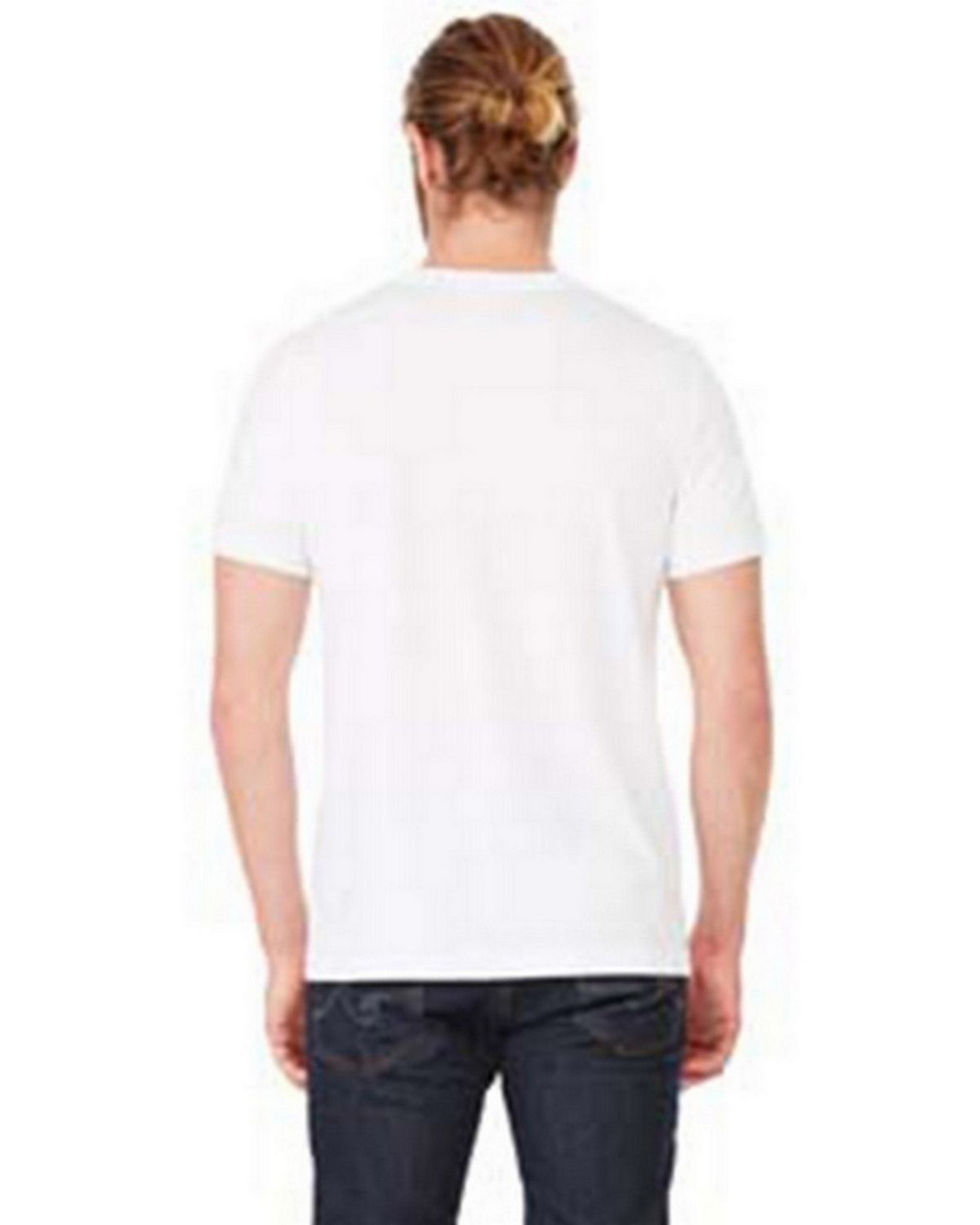 Bella + Canvas Direct to Film (DTF) 3413 Short Sleeve Triblend T-shirt - Back Image