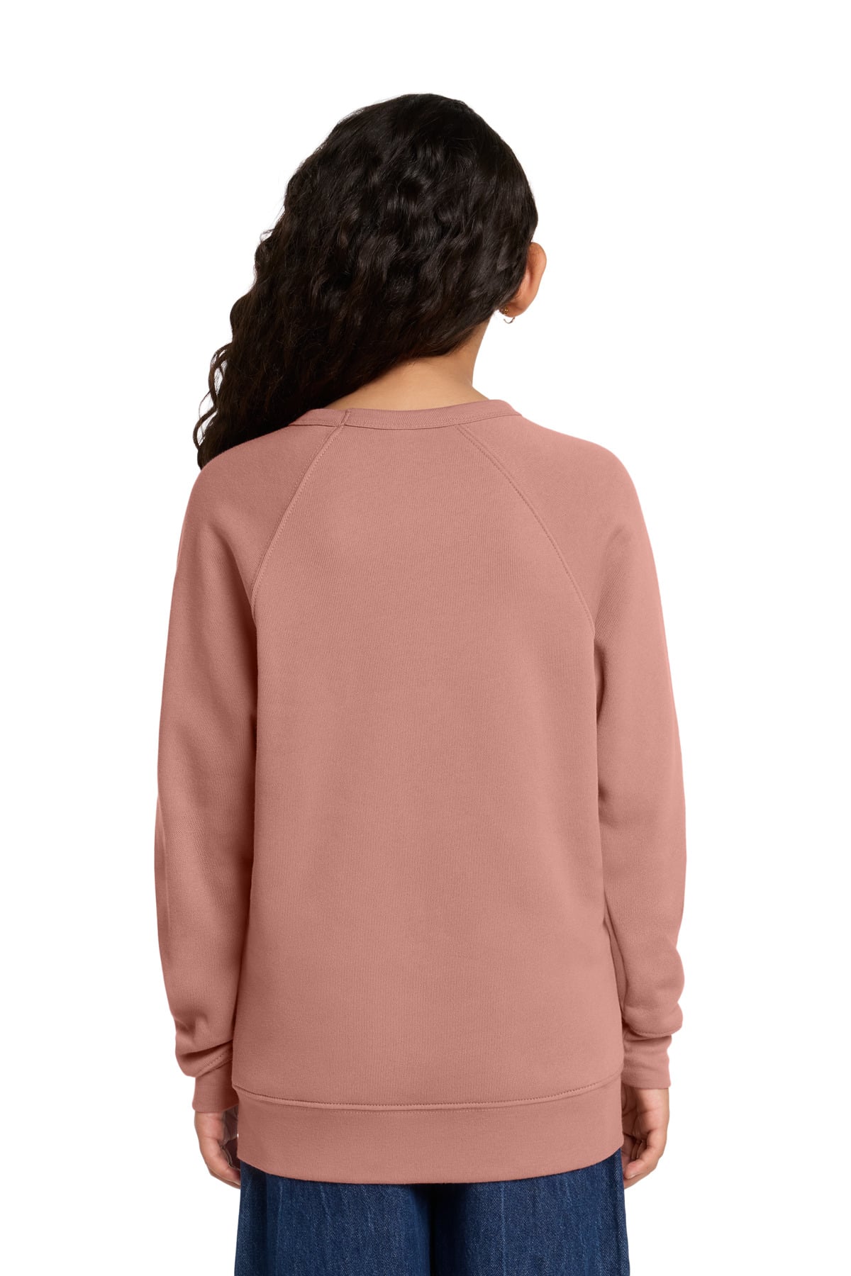 3901Y Bella + Canvas Youth Sponge Fleece Raglan Sweatshirt - Back Image