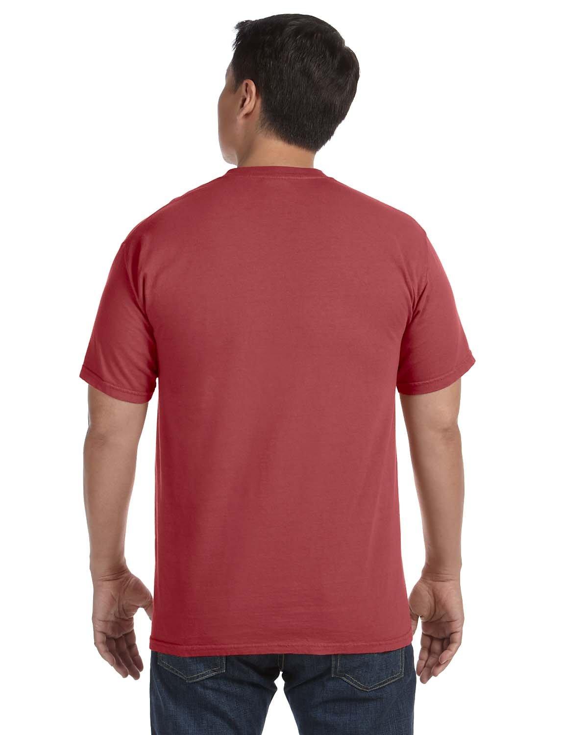 C1717 comfort colors adult heavyweight t-shirt - Back Image