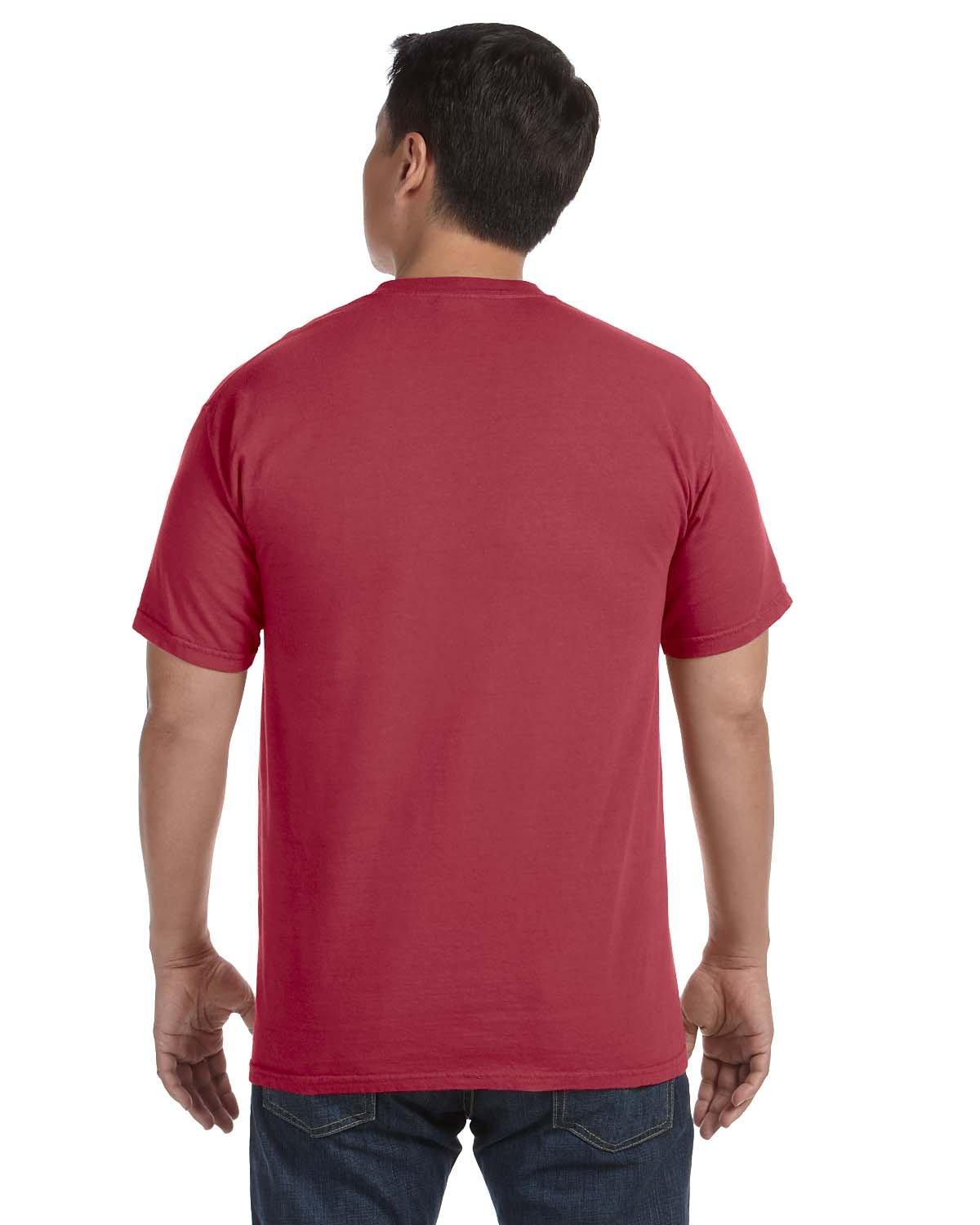 Comfort Color C1717 C1717 comfort colors adult heavyweight t-shirt - Back Image