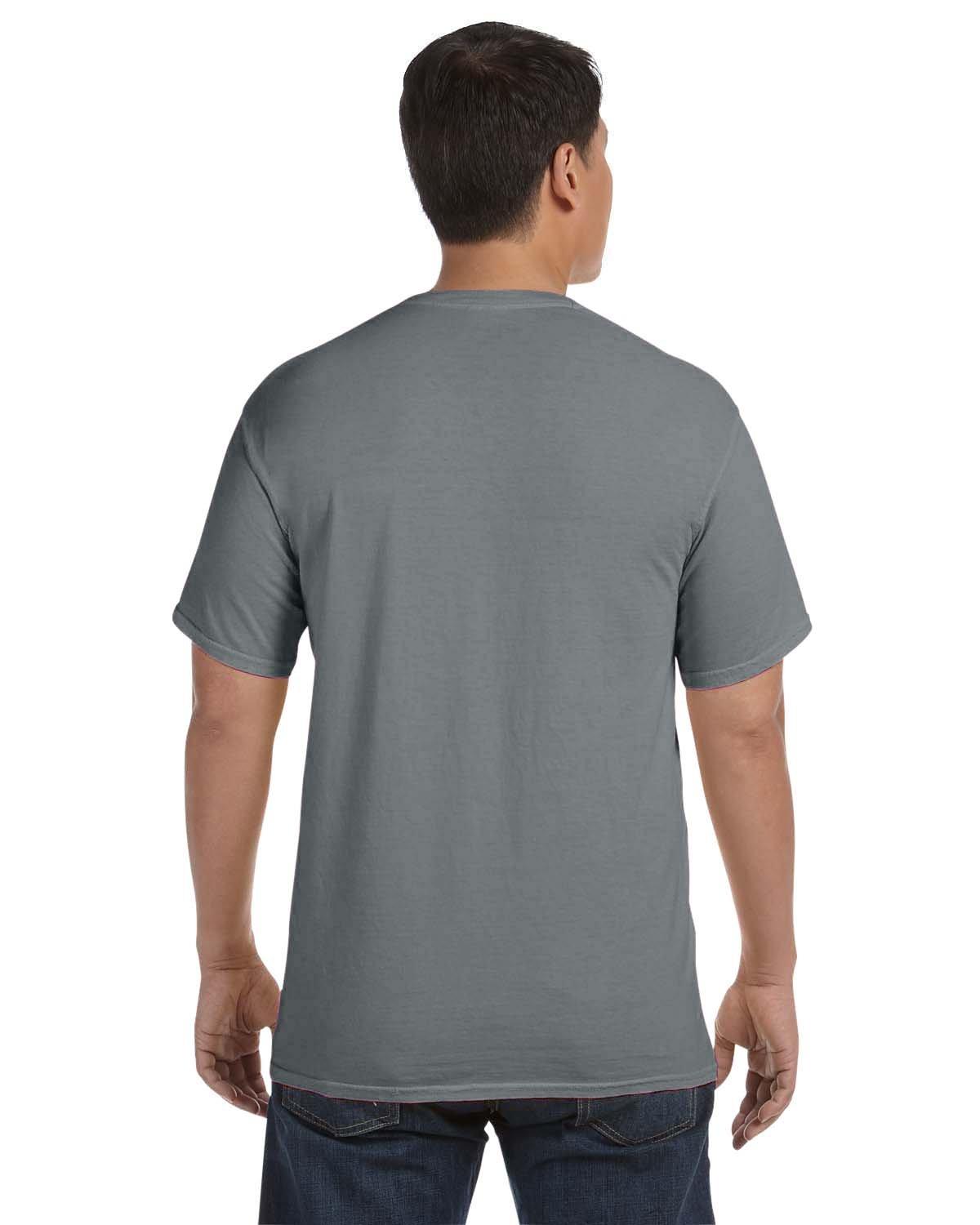 C1717 comfort colors adult heavyweight t-shirt - Back Image