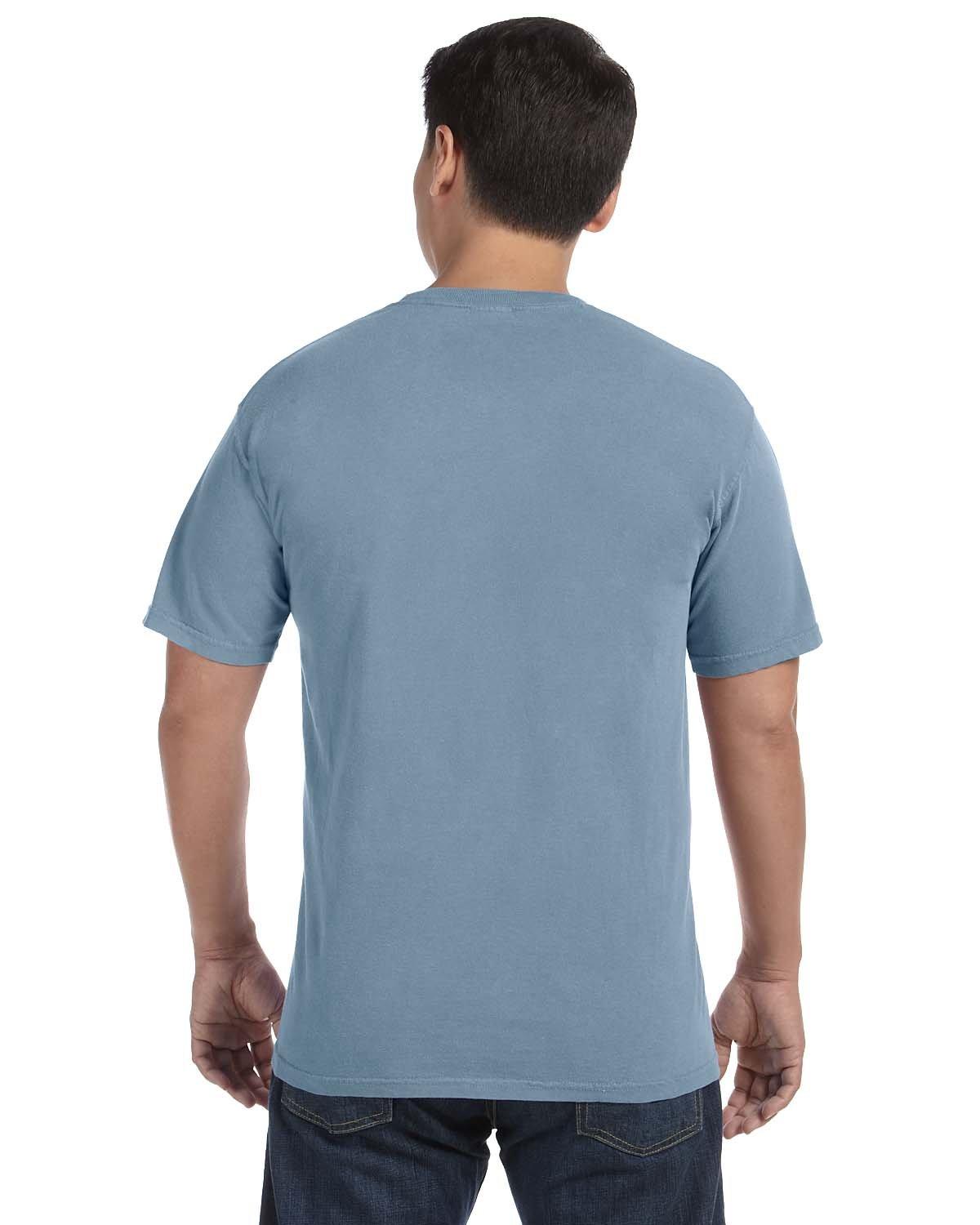 C1717 Comfort Colors Adult Heavyweight T-Shirt - Back Image