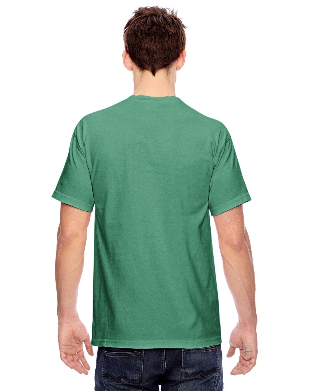 C1717 Comfort Colors Adult Heavyweight T-Shirt - Back Image