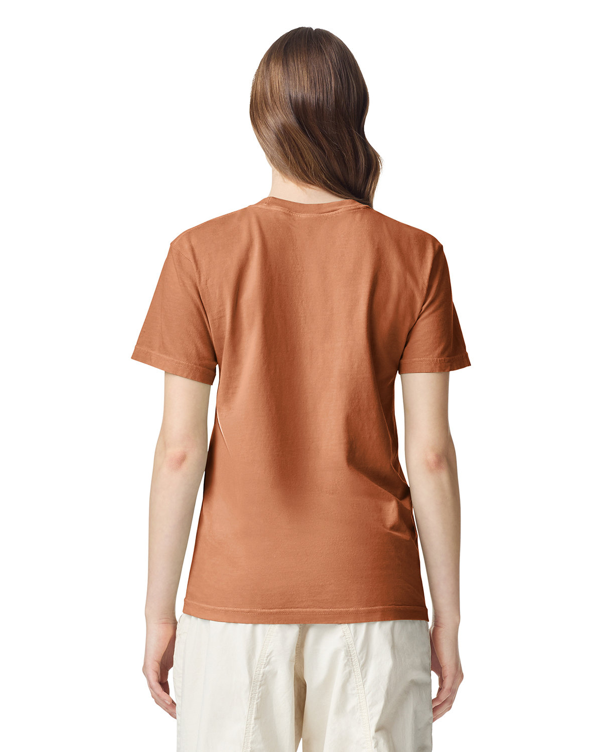 C1717 Comfort Colors Adult Heavyweight T-Shirt - Back Image
