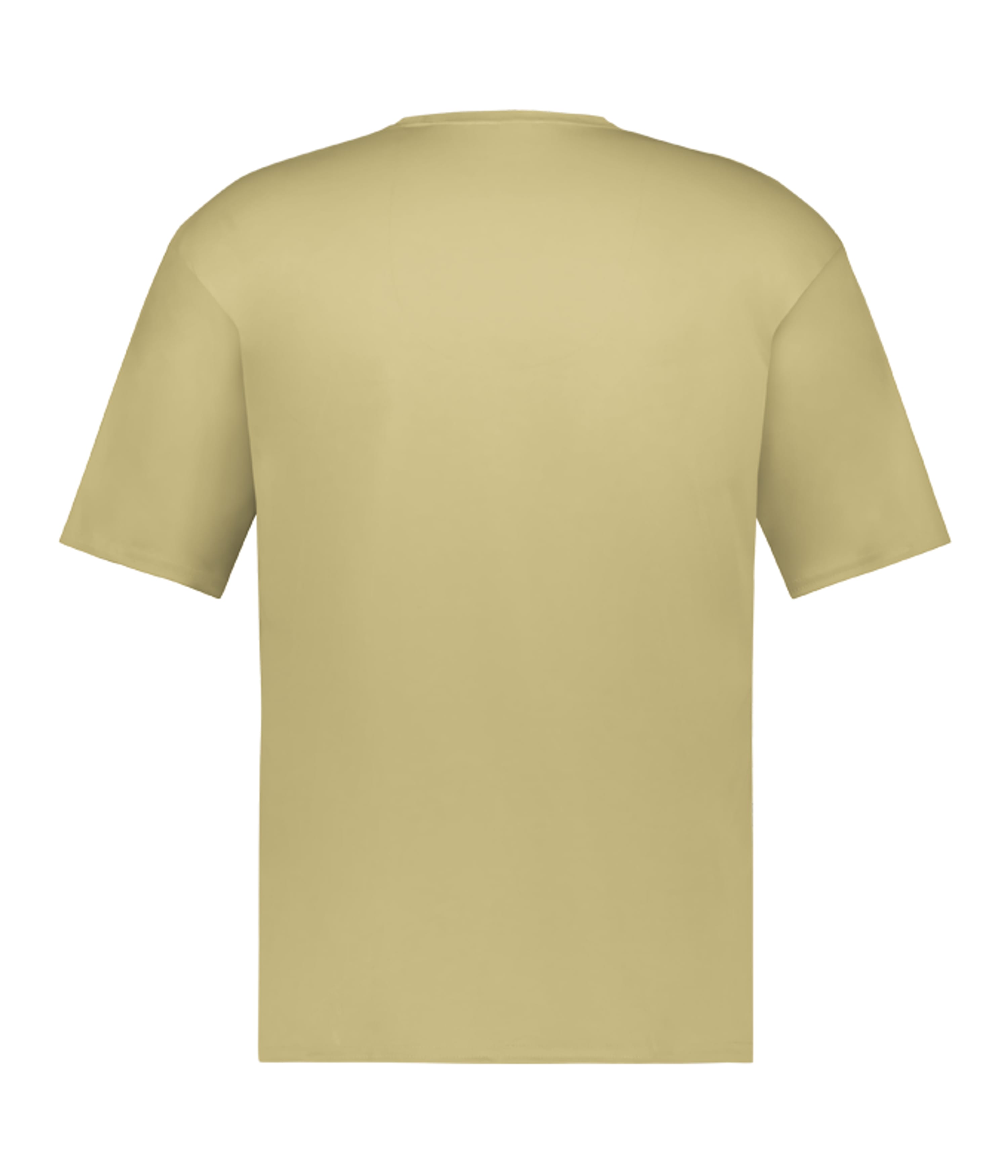 510000 C2 SPORT C2 TEE - Back Image