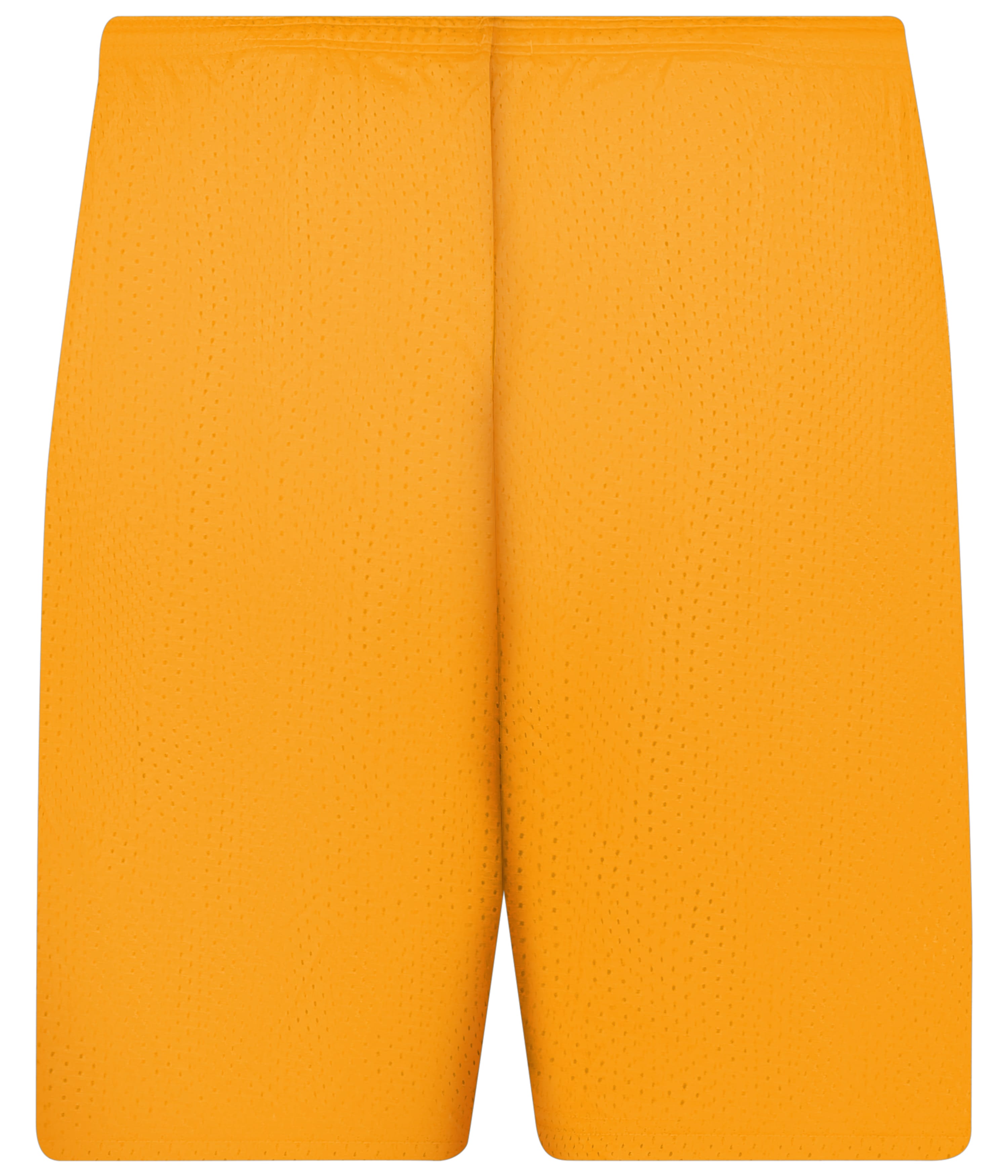 510900 C2 SPORT C2 MESH SHORT 9&quot; - Back Image