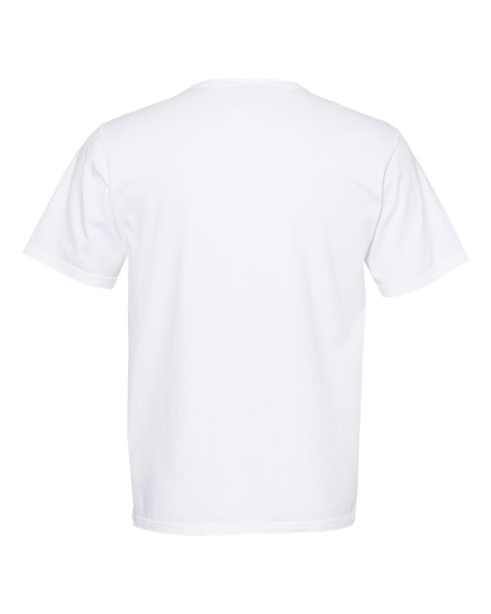CD100 Champion Garment Dyed Short Sleeve T-Shirt - Back Image