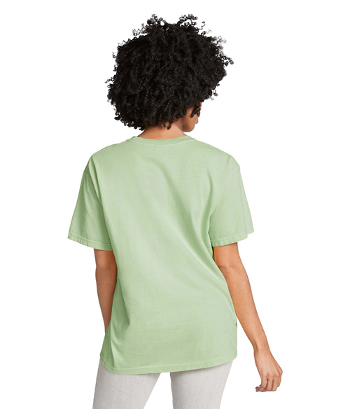 1717CL Comfort Colors Adult Heavyweight Tee - Back Image