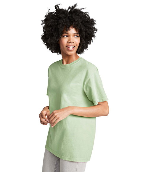 1717CL Comfort Colors Adult Heavyweight Tee - Siide Image