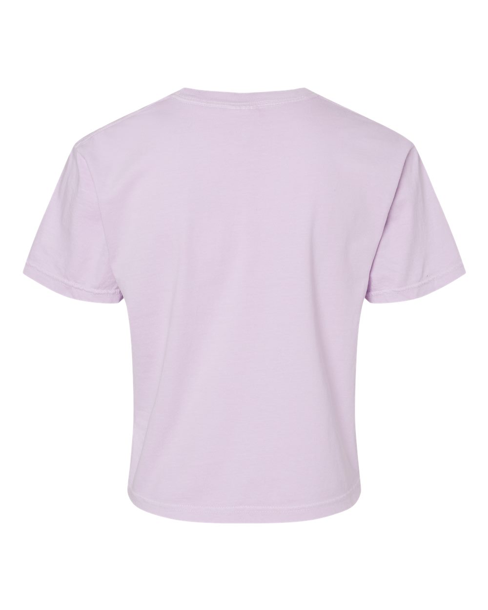 3023CL Comfort Colors Ladies Heavyweight Middie T-Shirt - Back Image