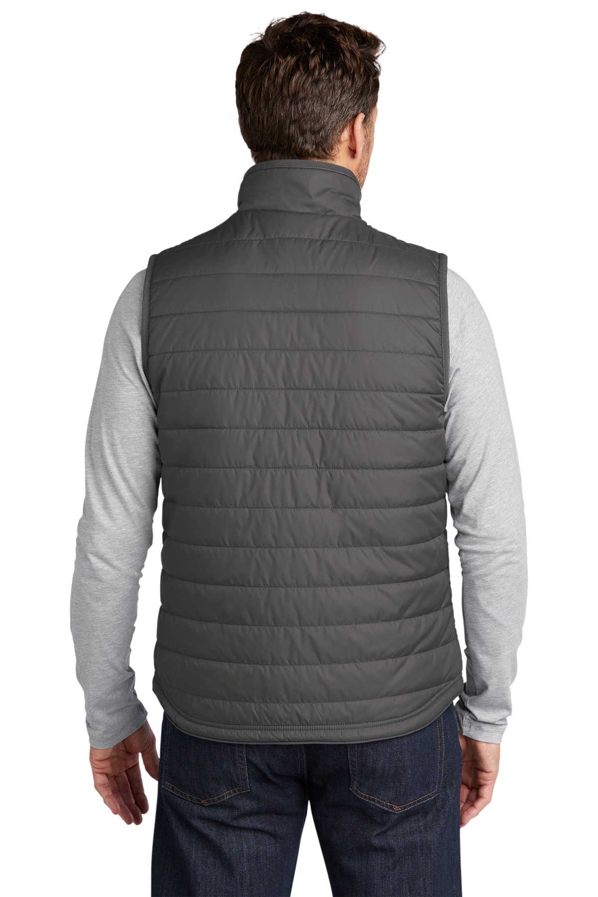 CT102286 Carhartt Gilliam Vest - Back Image