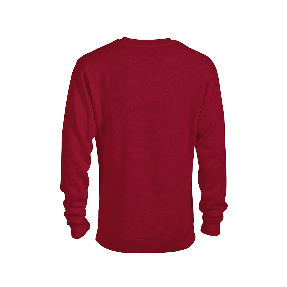 99100 Delta Fleece Adult Unisex Heavyweight Fleece Crew - Back Image