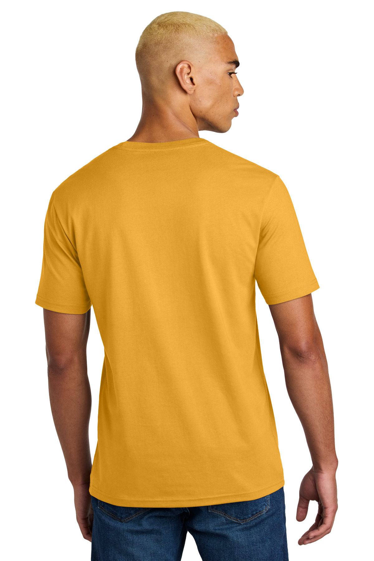 DT106 District Perfect Weight Icon Tee - Back Image