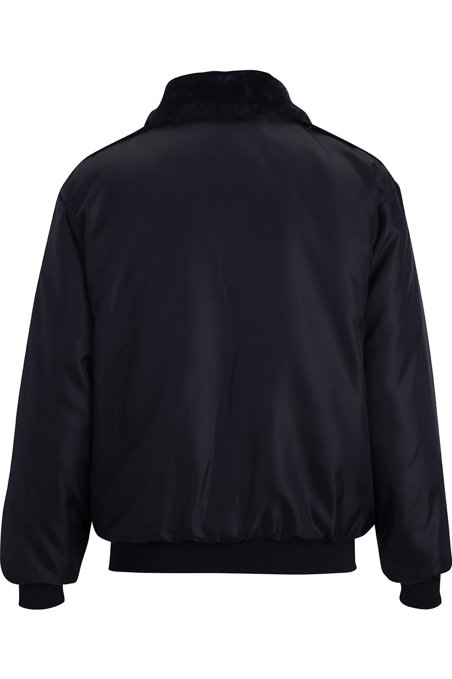 Back Image