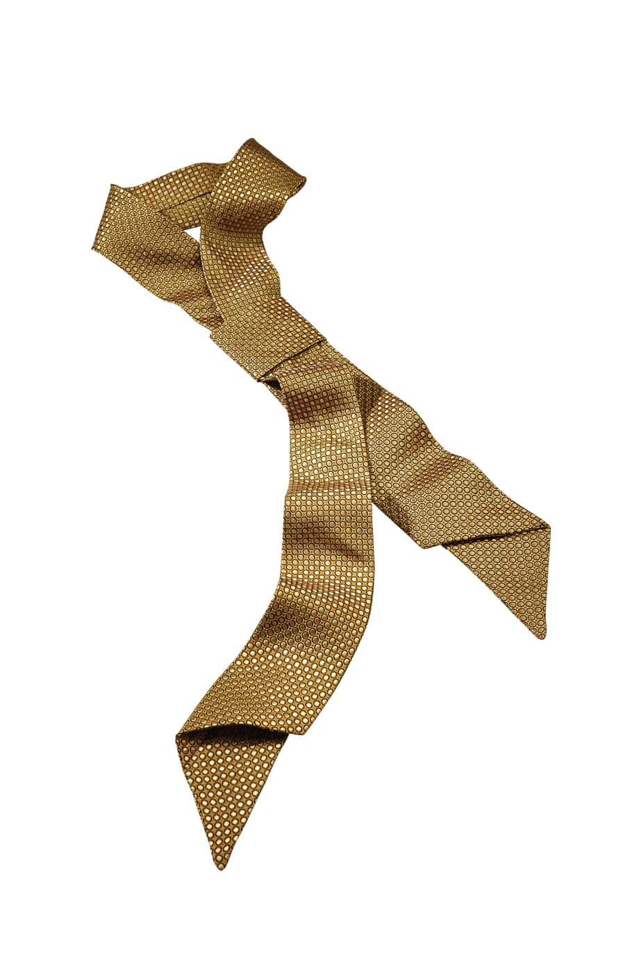 SC54 Edwards CIRCLES AND DOTS NECKERCHIEF SC54 Edwards CIRCLES AND DOTS NECKERCHIEF