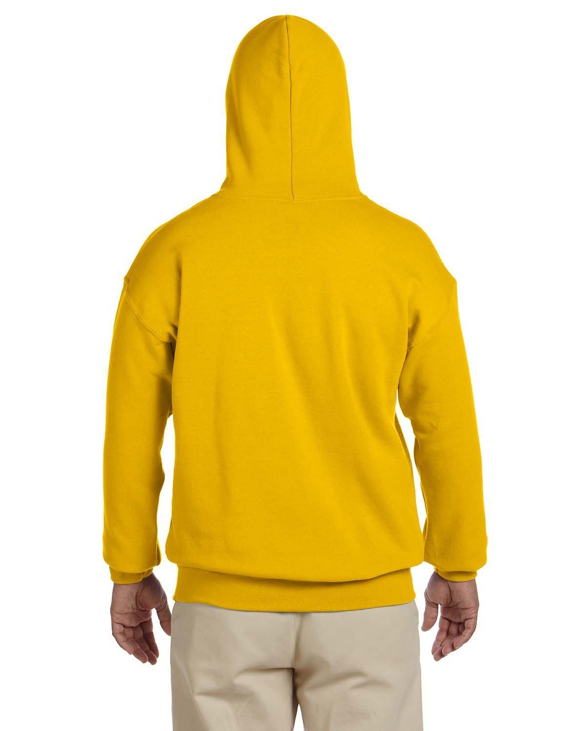 Back Image