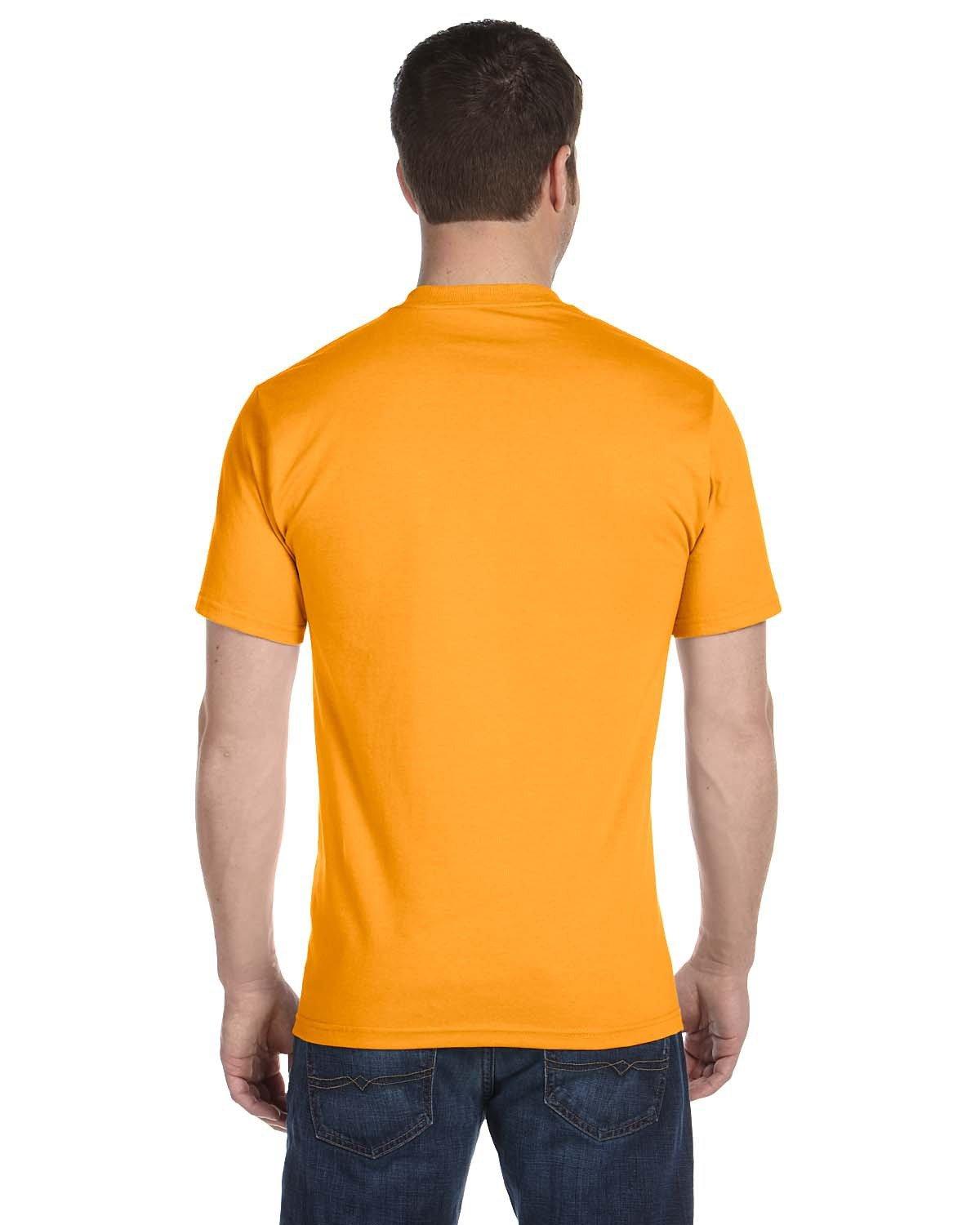 G800 Gildan Adult 50/50 T-Shirt - Back Image