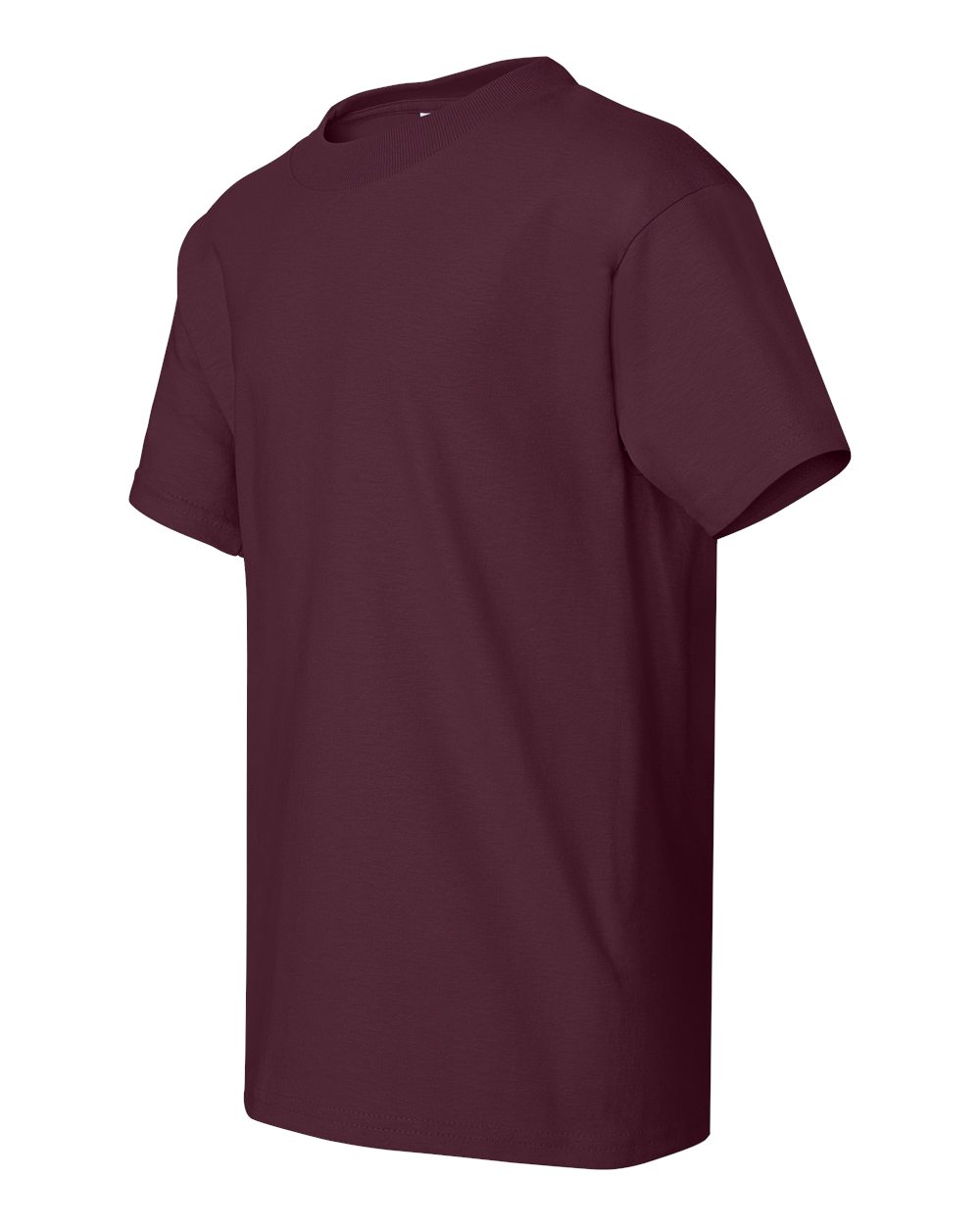 Hanes Direct to Film (DTF) 5380 Beefy-T Youth T-Shirt - Siide Image