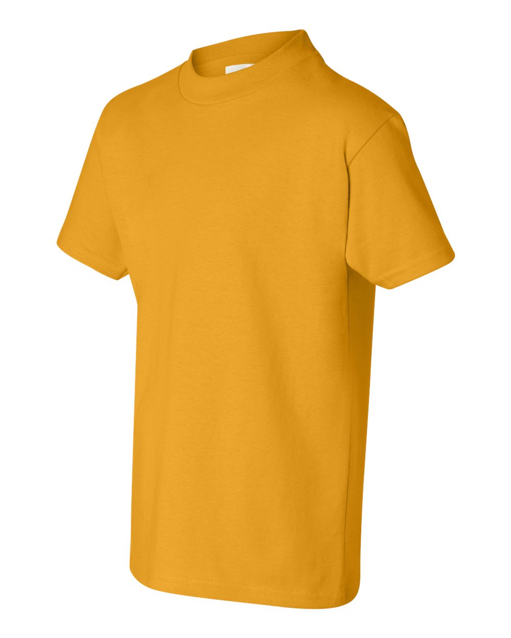 5450 Hanes - Youth Authentic 100% Cotton T-Shirt. - Siide Image