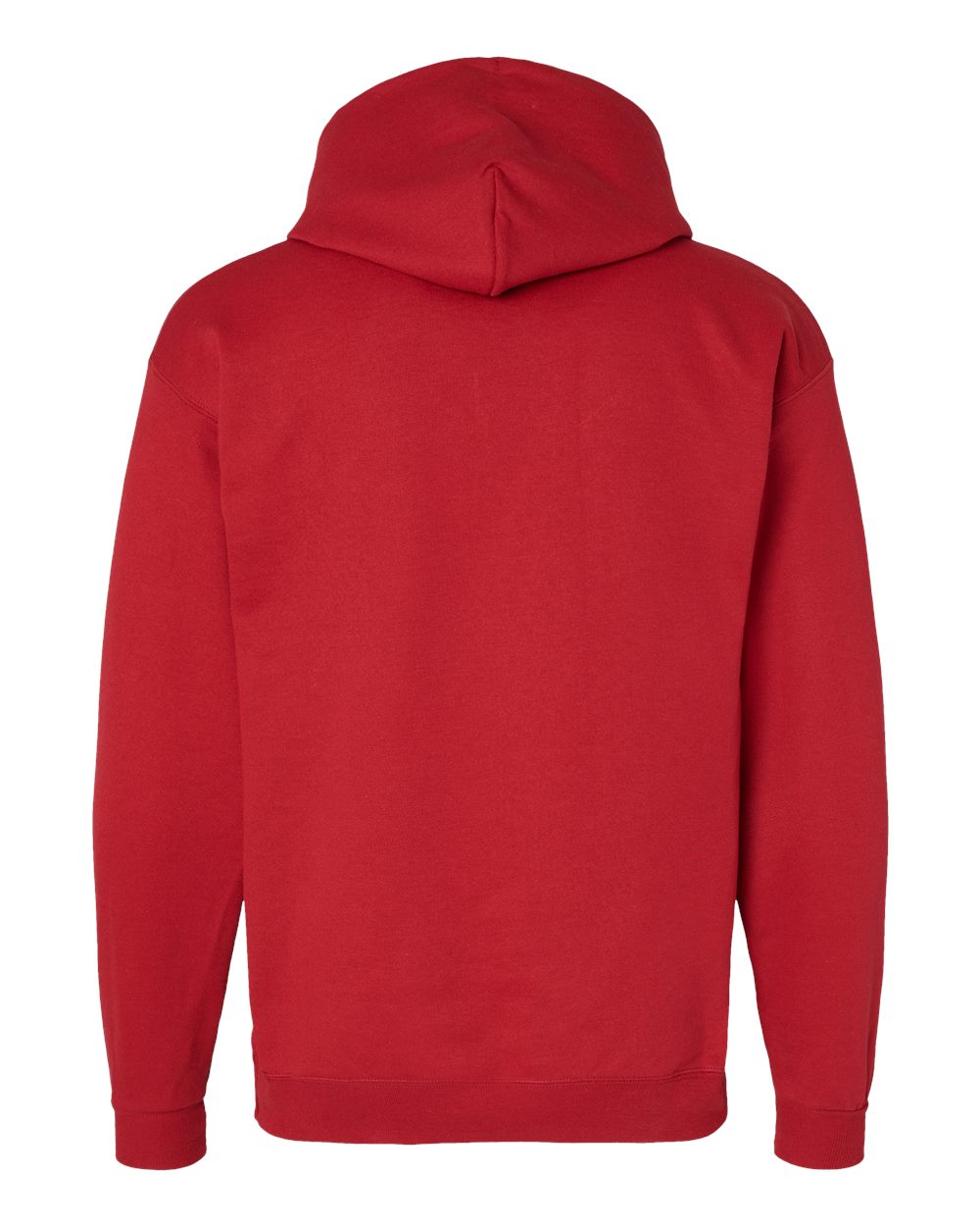 P170 Hanes - EcoSmart® Hooded Sweatshirt - Back Image